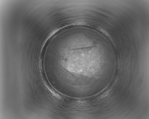 X0000060571029200511171626