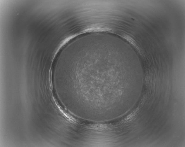 X0000060571030200511171626