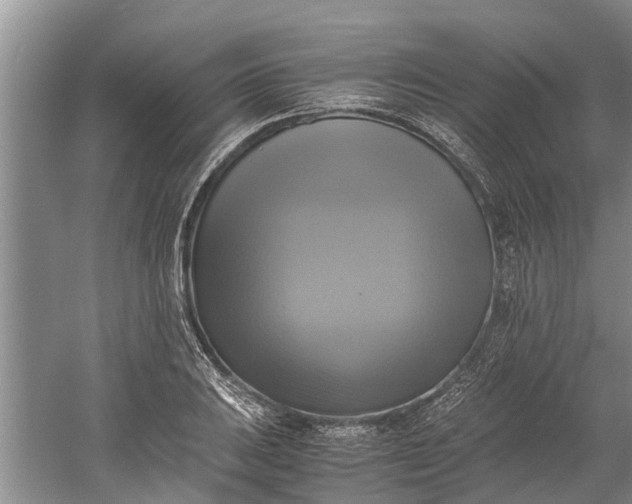 X0000060571031200511171626