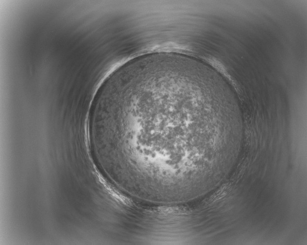 X0000060571032200511171626