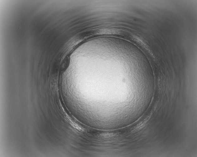 X0000060571033200511171626