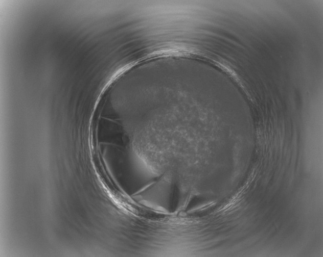 X0000060571034200511171626