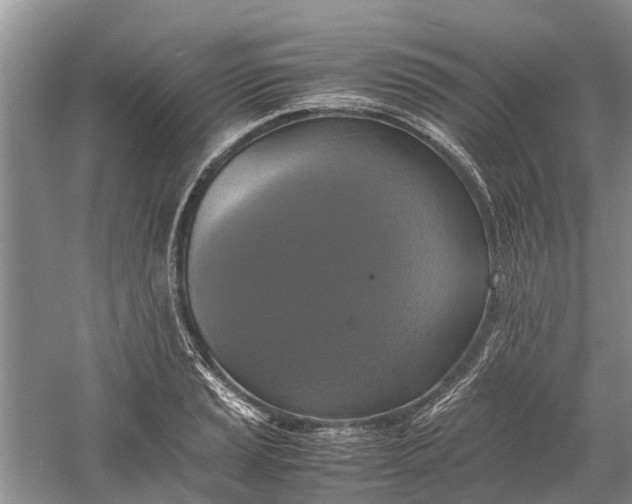 X0000060571037200511171626