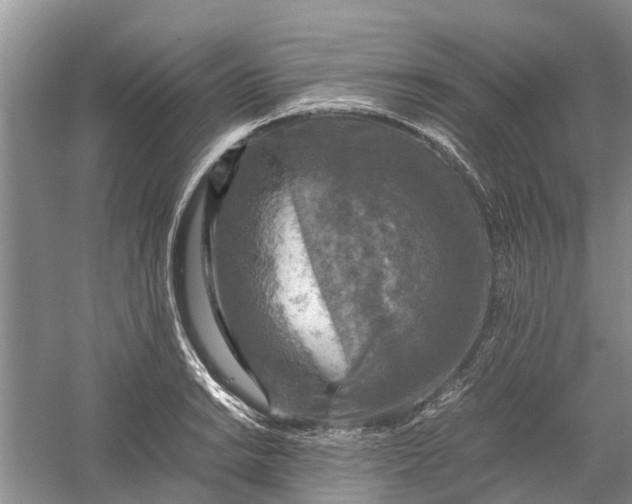 X0000060571038200511171626