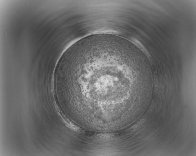 X0000060571044200511171626