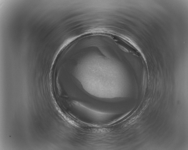 X0000060571045200511171626