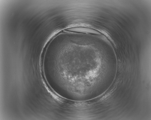 X0000060571046200511171626