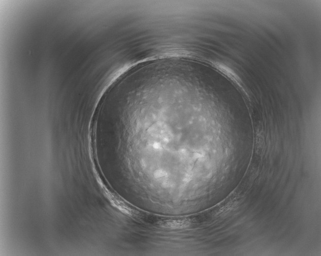 X0000060571047200511171626