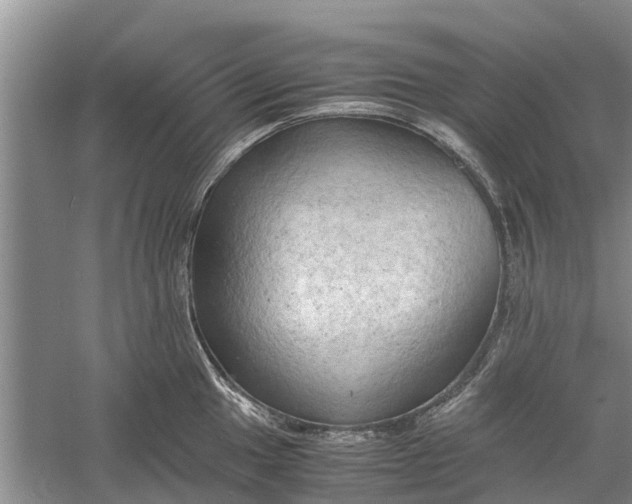 X0000060571049200511171626