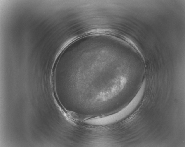 X0000060571050200511171626