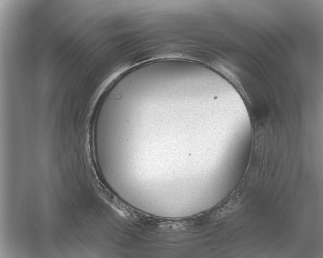 X0000060571051200511171626