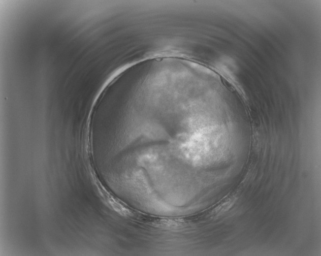 X0000060571052200511171626