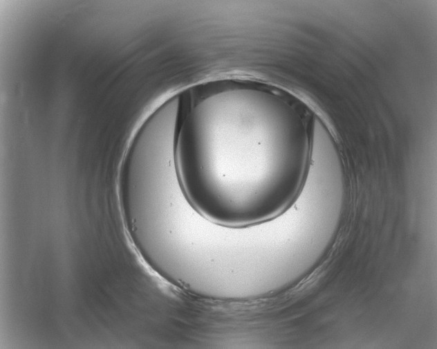 X0000060571054200511171626