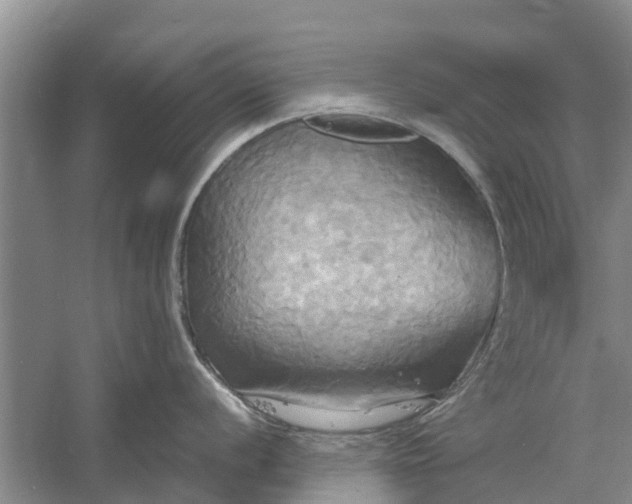 X0000060571056200511171626