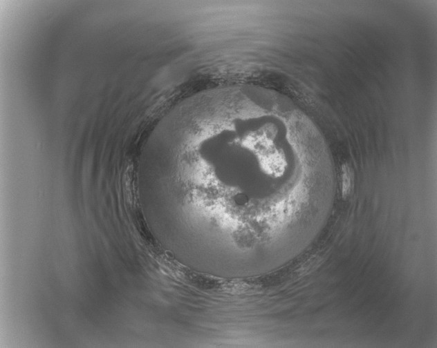 X0000060571059200511171625