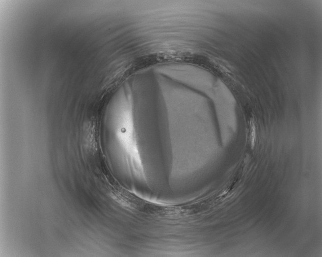 X0000060571060200511171625