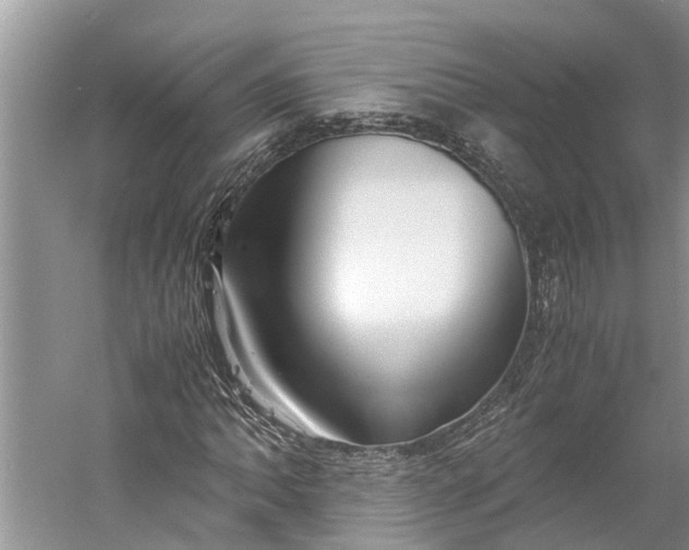 X0000060571062200511171625