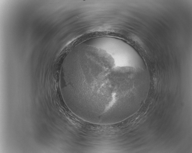 X0000060571064200511171625