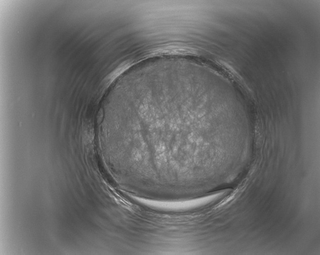 X0000060571065200511171625