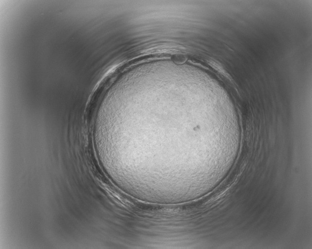 X0000060571067200511171625