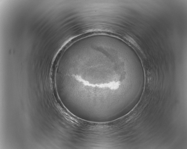 X0000060571068200511171625