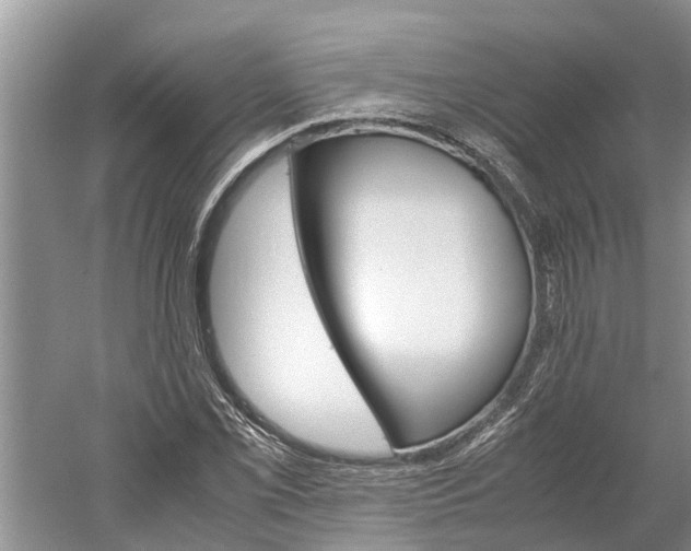 X0000060571069200511171625