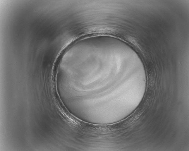 X0000060571071200511171625