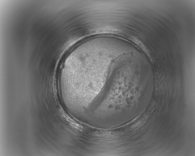 X0000060571072200511171625