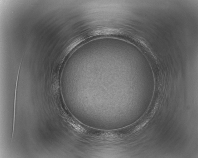 X0000060571073200511171625