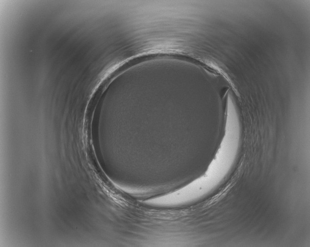 X0000060571077200511171625