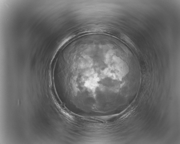 X0000060571079200511171625