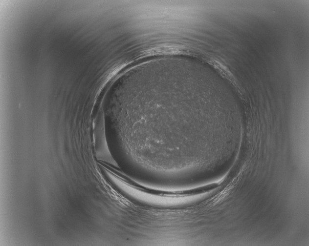 X0000060571081200511171625