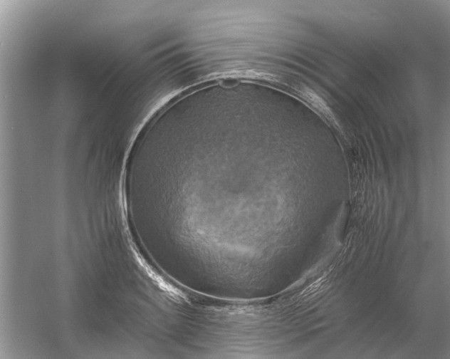 X0000060571084200511171625