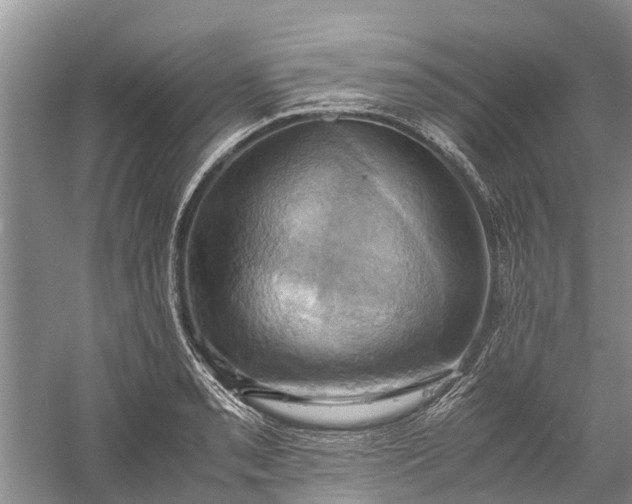 X0000060571085200511171625