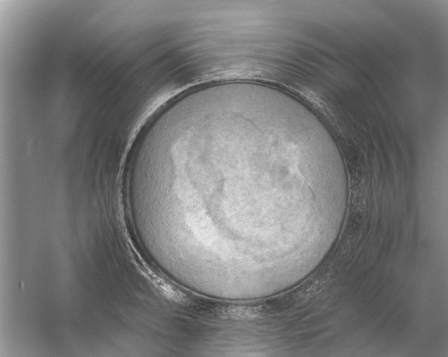 X0000060571086200511171625