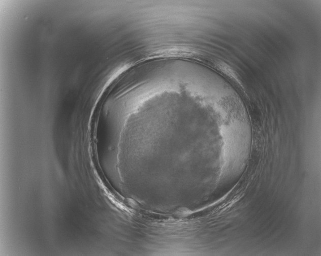 X0000060571087200511171625