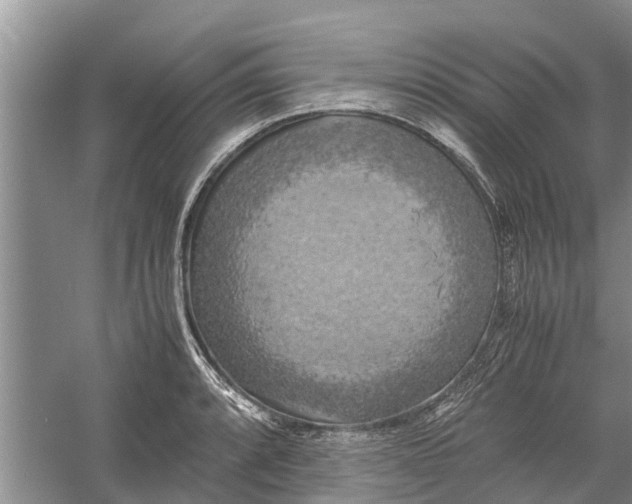 X0000060571088200511171625