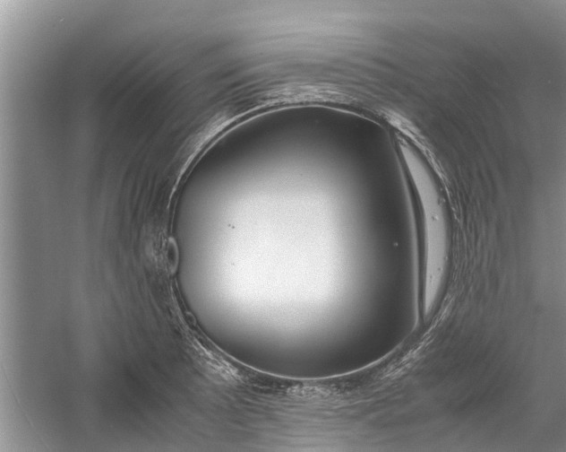 X0000060571089200511171625