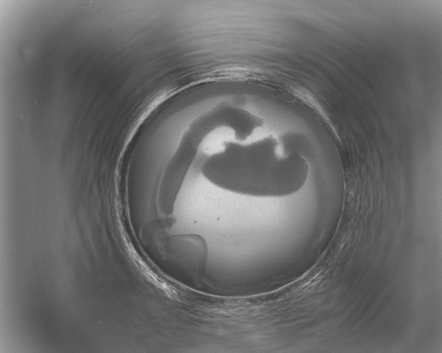 X0000060571091200511171625