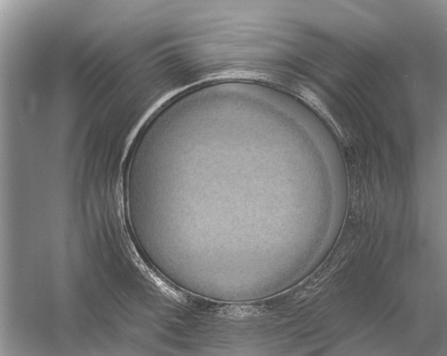 X0000060571092200511171625