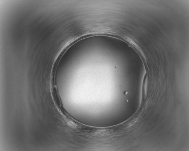 X0000060571093200511171625