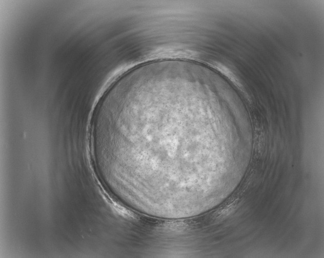 X0000060571094200511171625