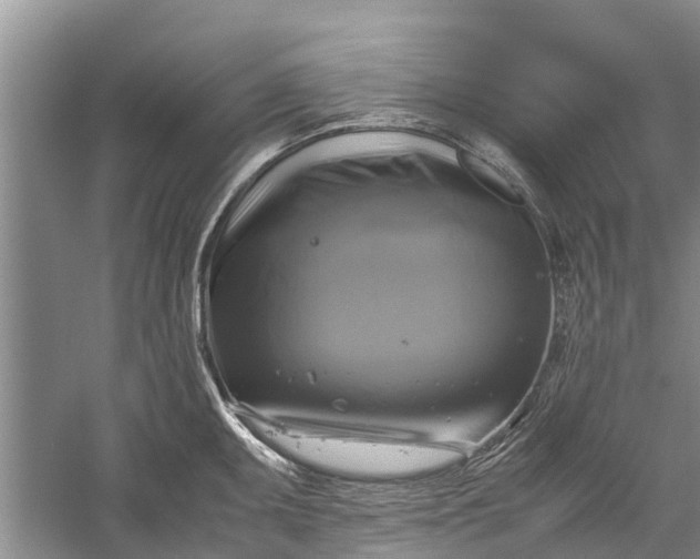 X0000060571095200511171625