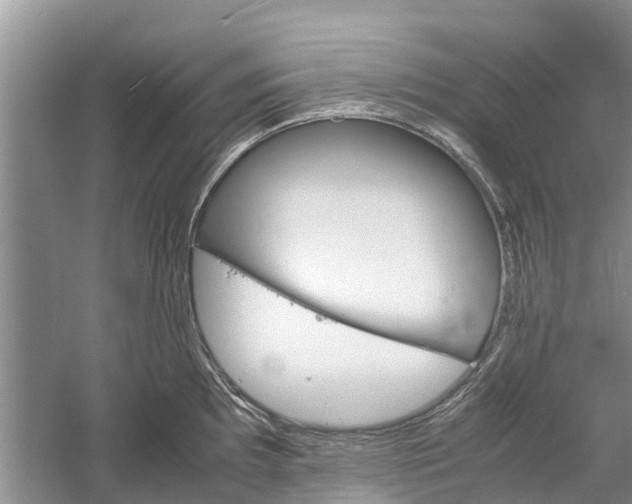 X0000060571097200511171625