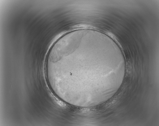 X0000060571098200511171625