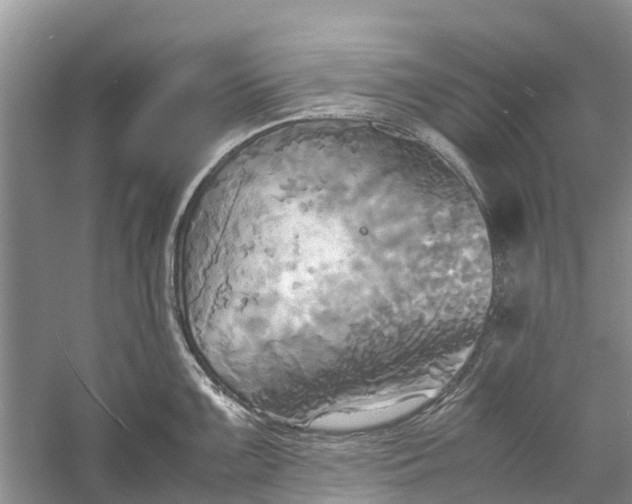 X0000060571099200511171625