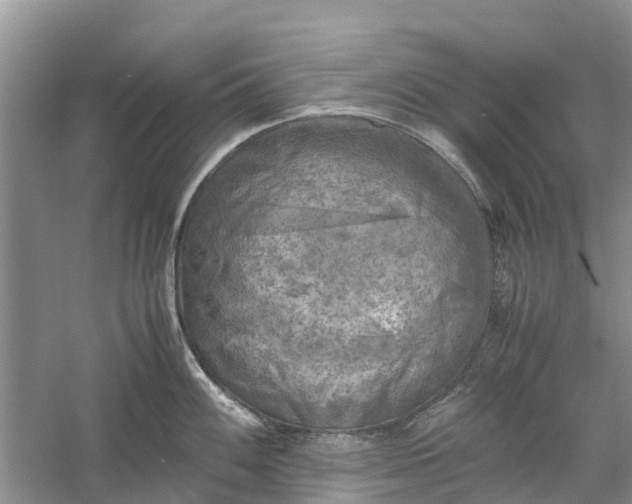 X0000060571100200511171625