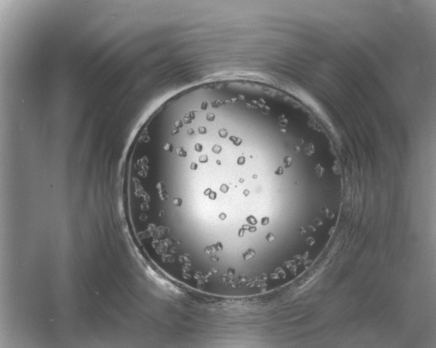 X0000060571102200511171625