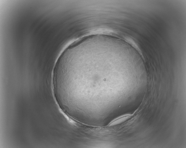 X0000060571103200511171625