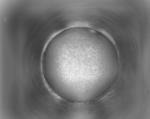 X0000060571104200511171625